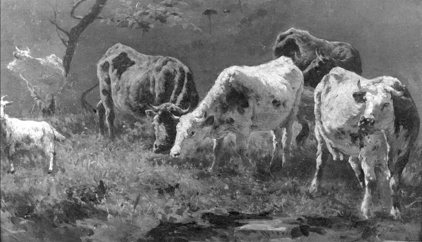Animali al pascolo - Palazzo Forti, Verona